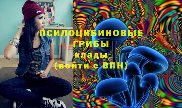 марки lsd Балабаново